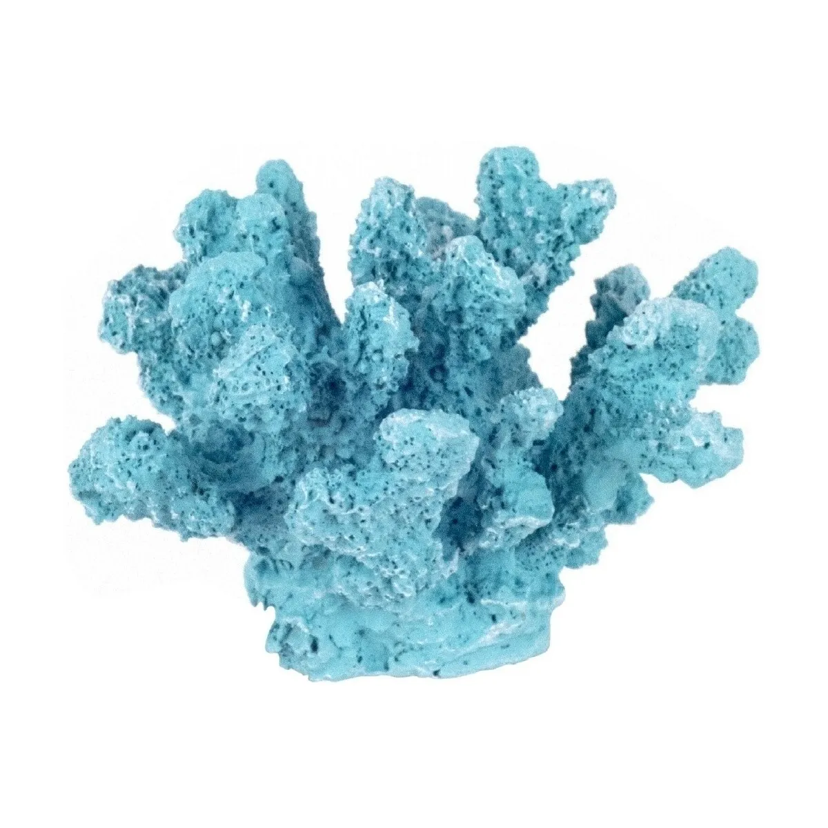 Adorno Coral Mar