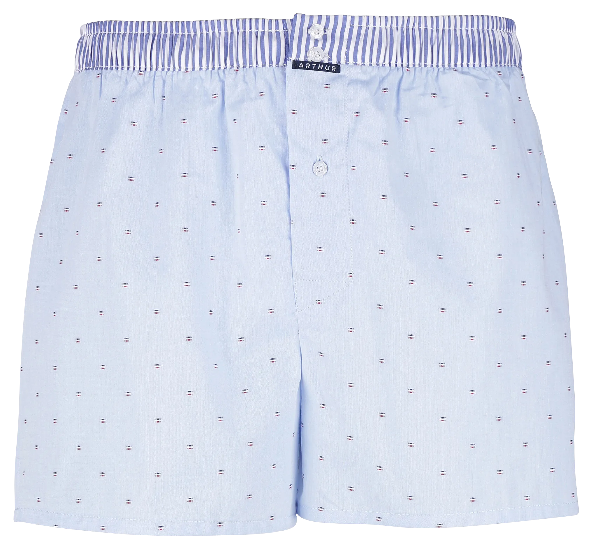 ARTHUR Calzoncillos de algodón bordados en azul