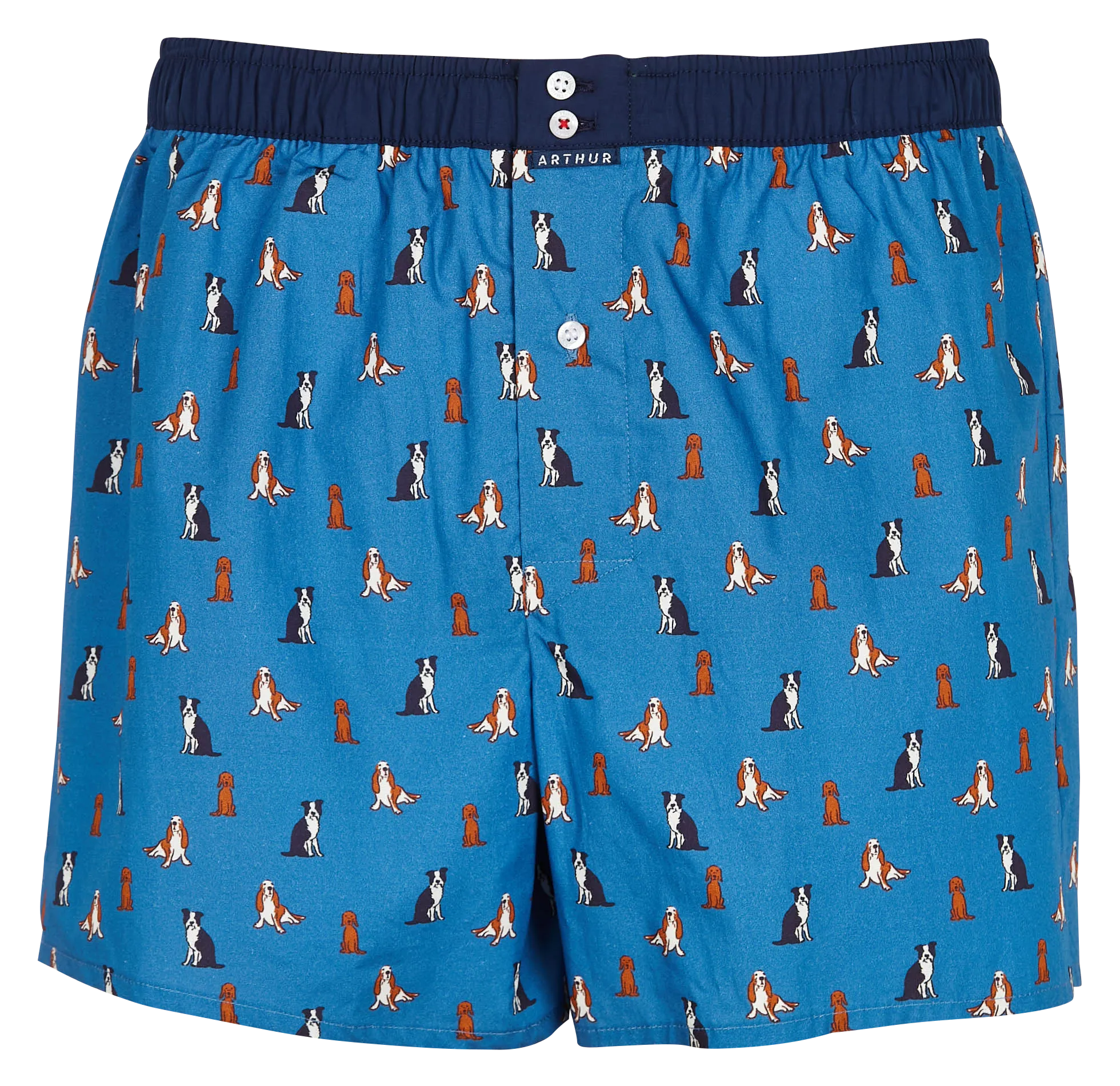 ARTHUR Calzoncillos estampados de algodón en azul