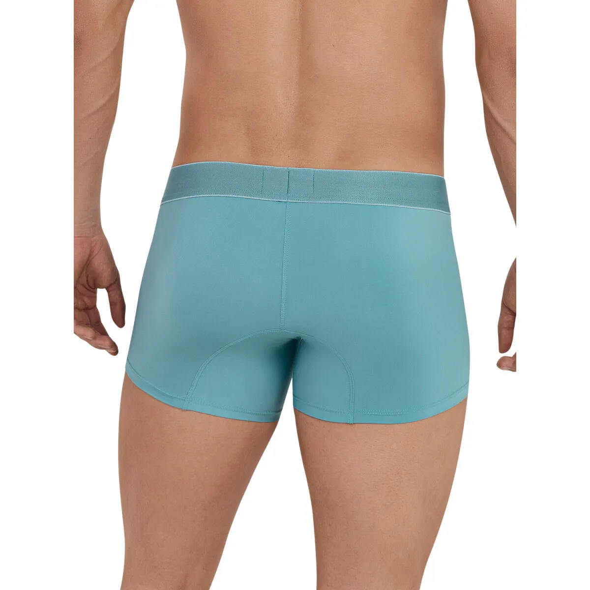 Boxeador Vital