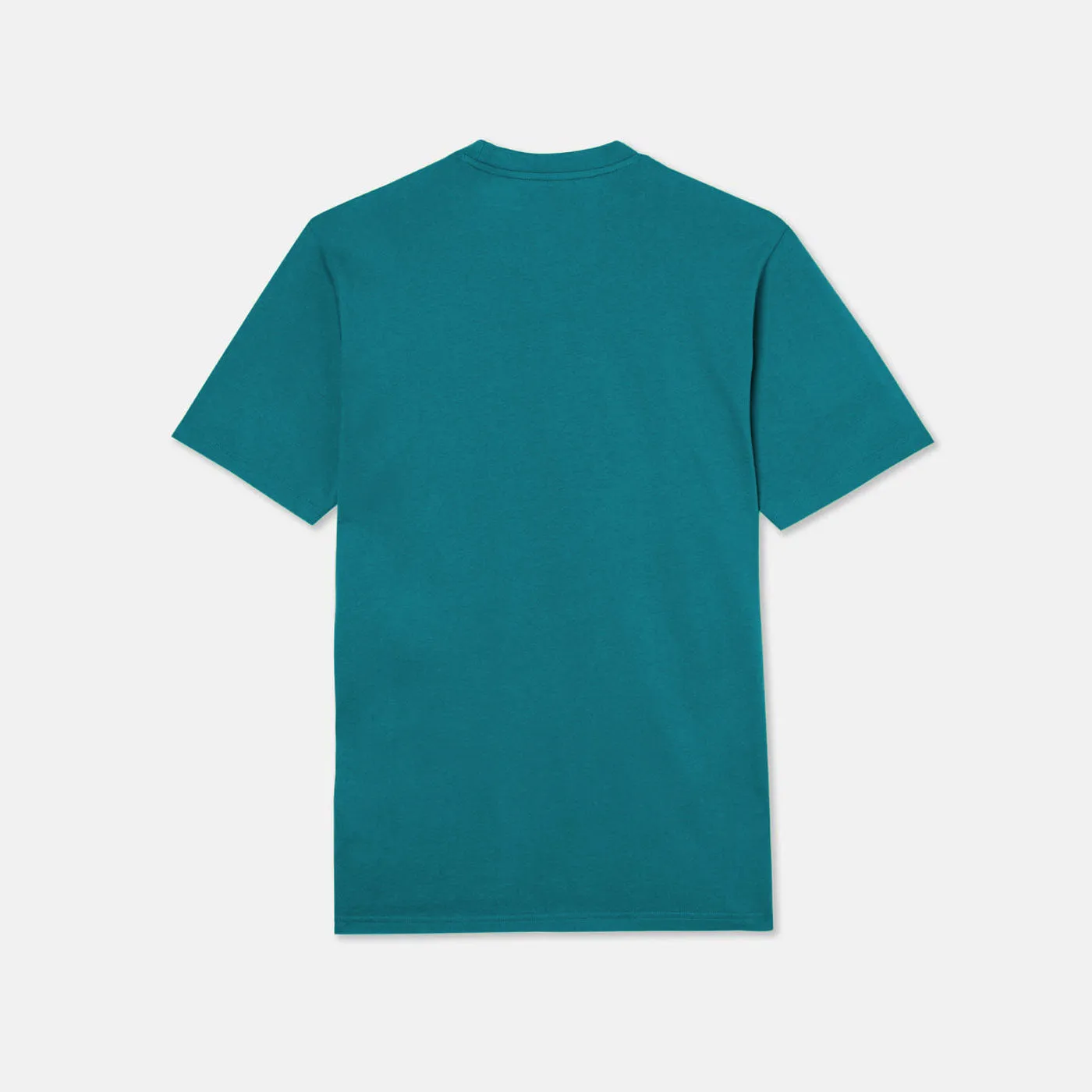 DICKIES TSHIRT ICON LOGO GRAPHIC  GREEN
