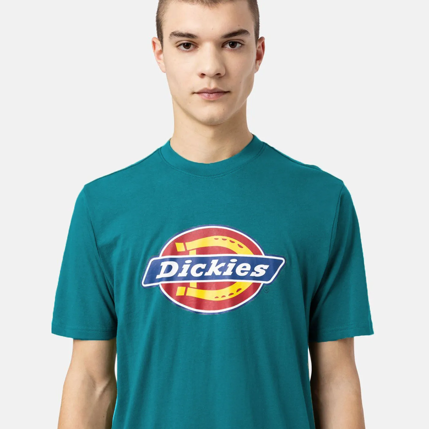 DICKIES TSHIRT ICON LOGO GRAPHIC  GREEN