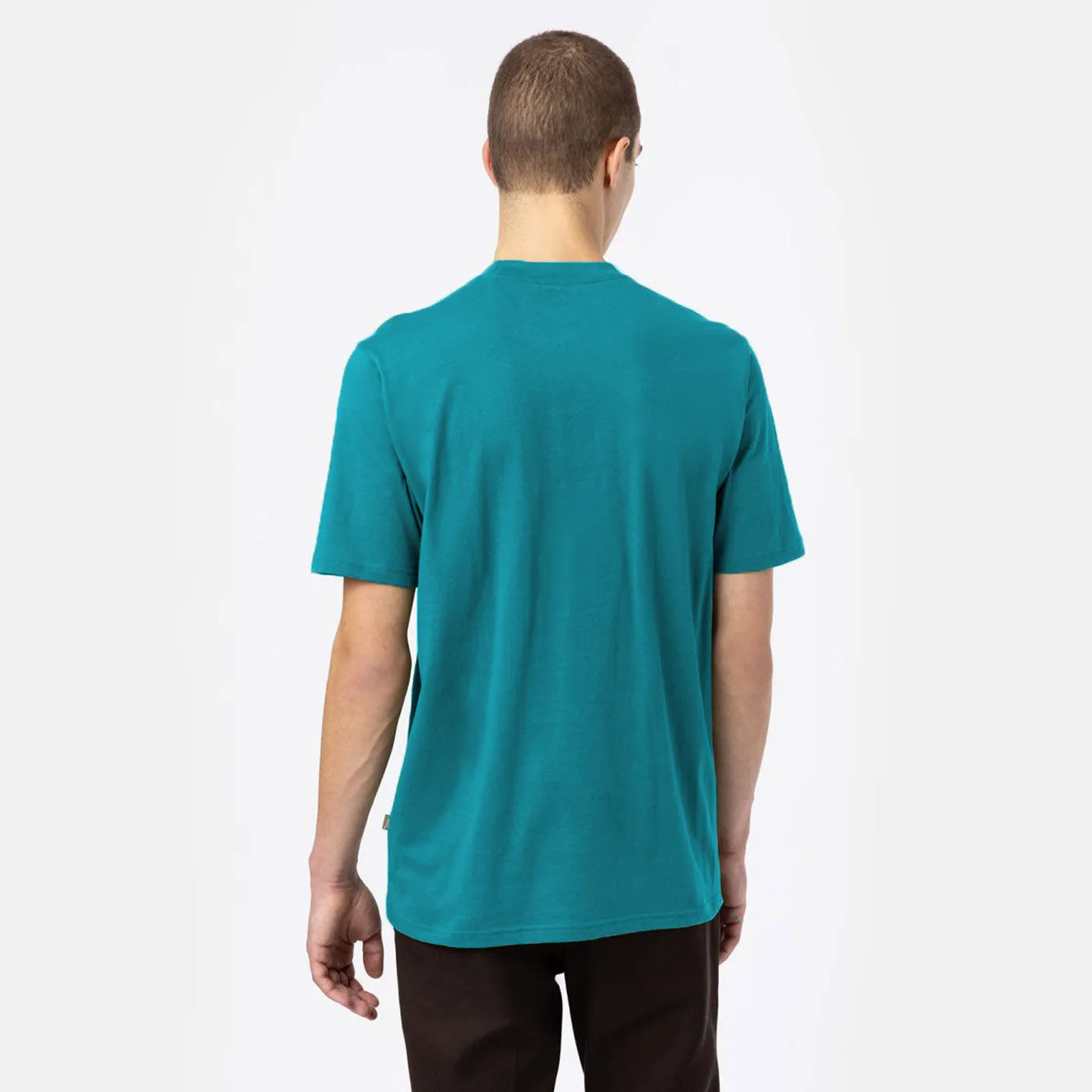 DICKIES TSHIRT ICON LOGO GRAPHIC  GREEN