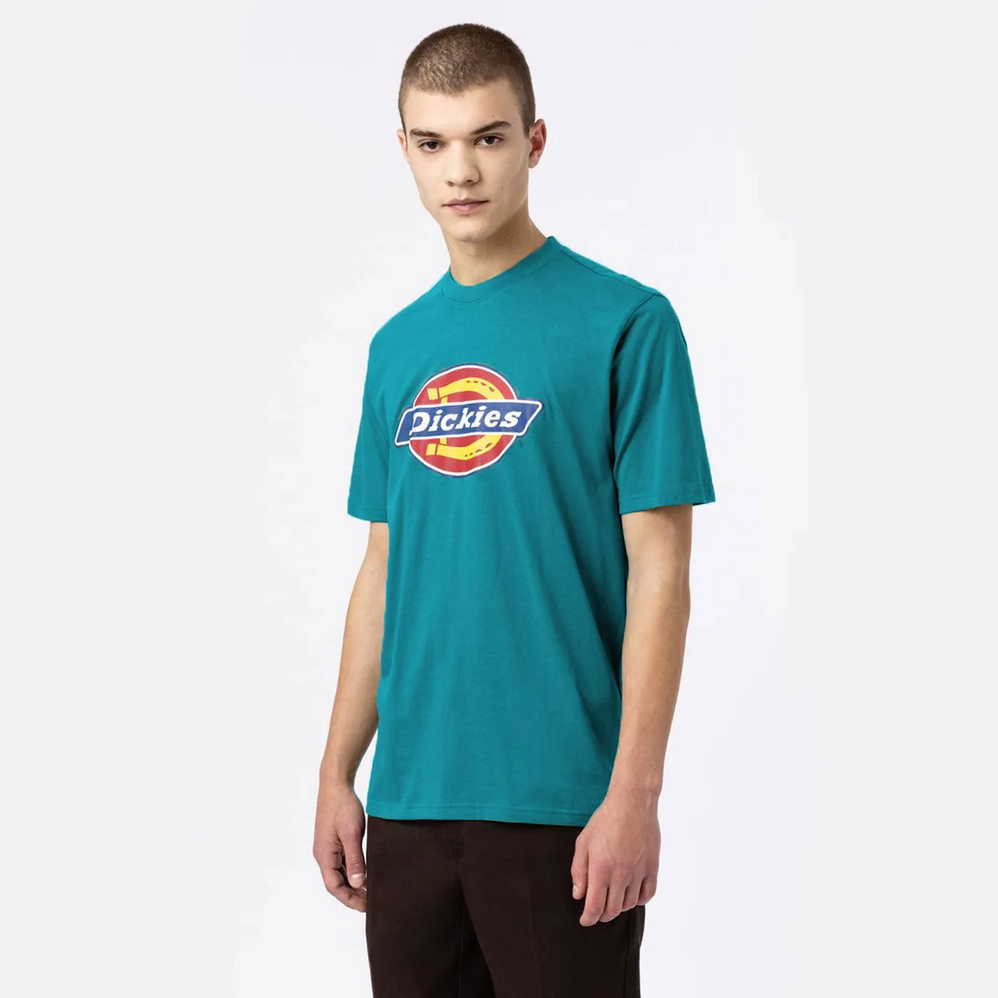 DICKIES TSHIRT ICON LOGO GRAPHIC  GREEN