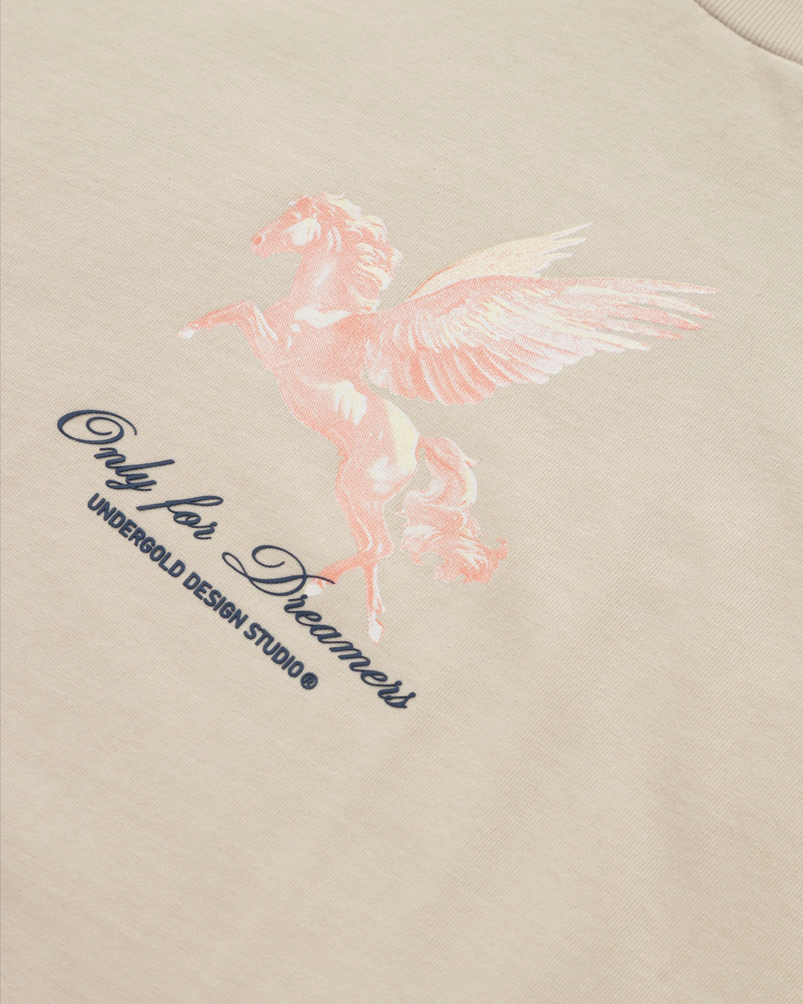 DREAMERS PEGASUS BOXY FIT TSHIRT CREAM