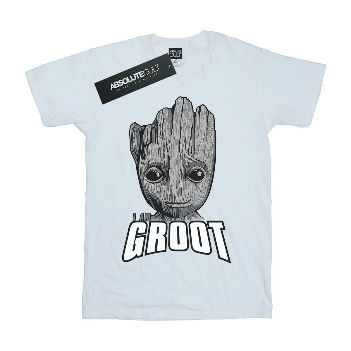 Guardians Of The Galaxy Groot Face