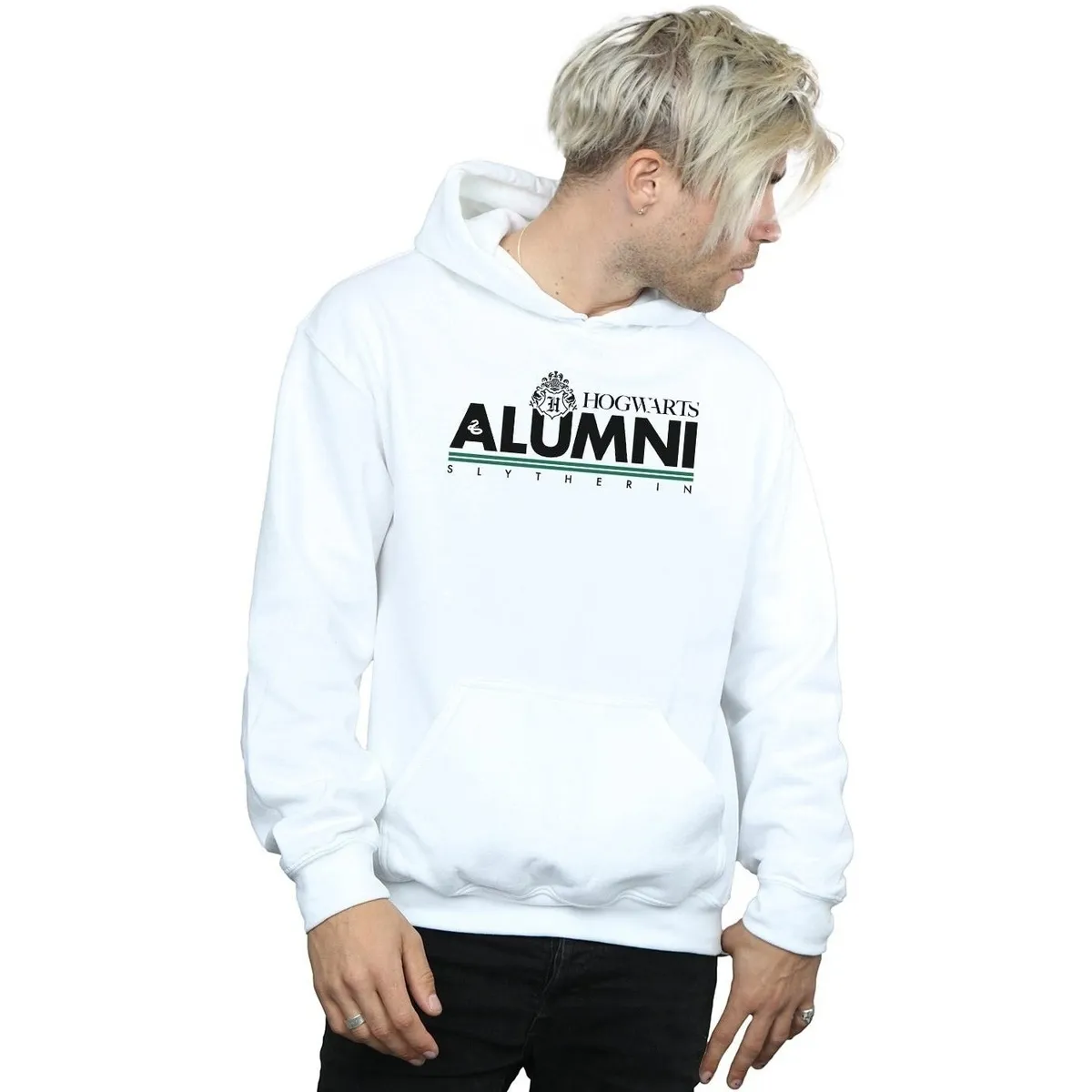 Hogwarts Alumni Slytherin