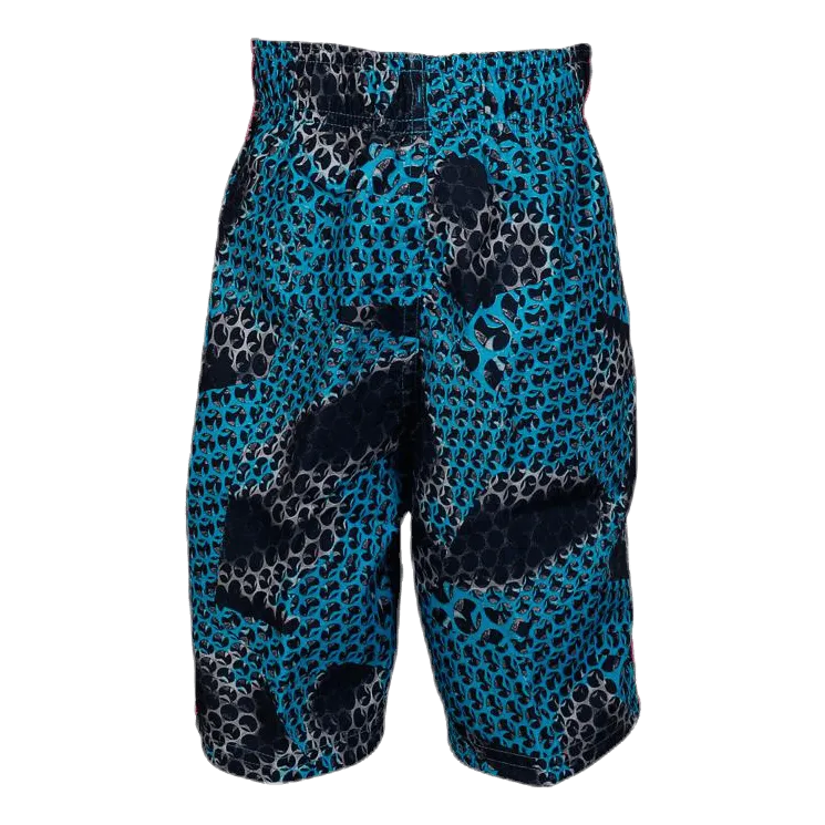 Natación Nike 6