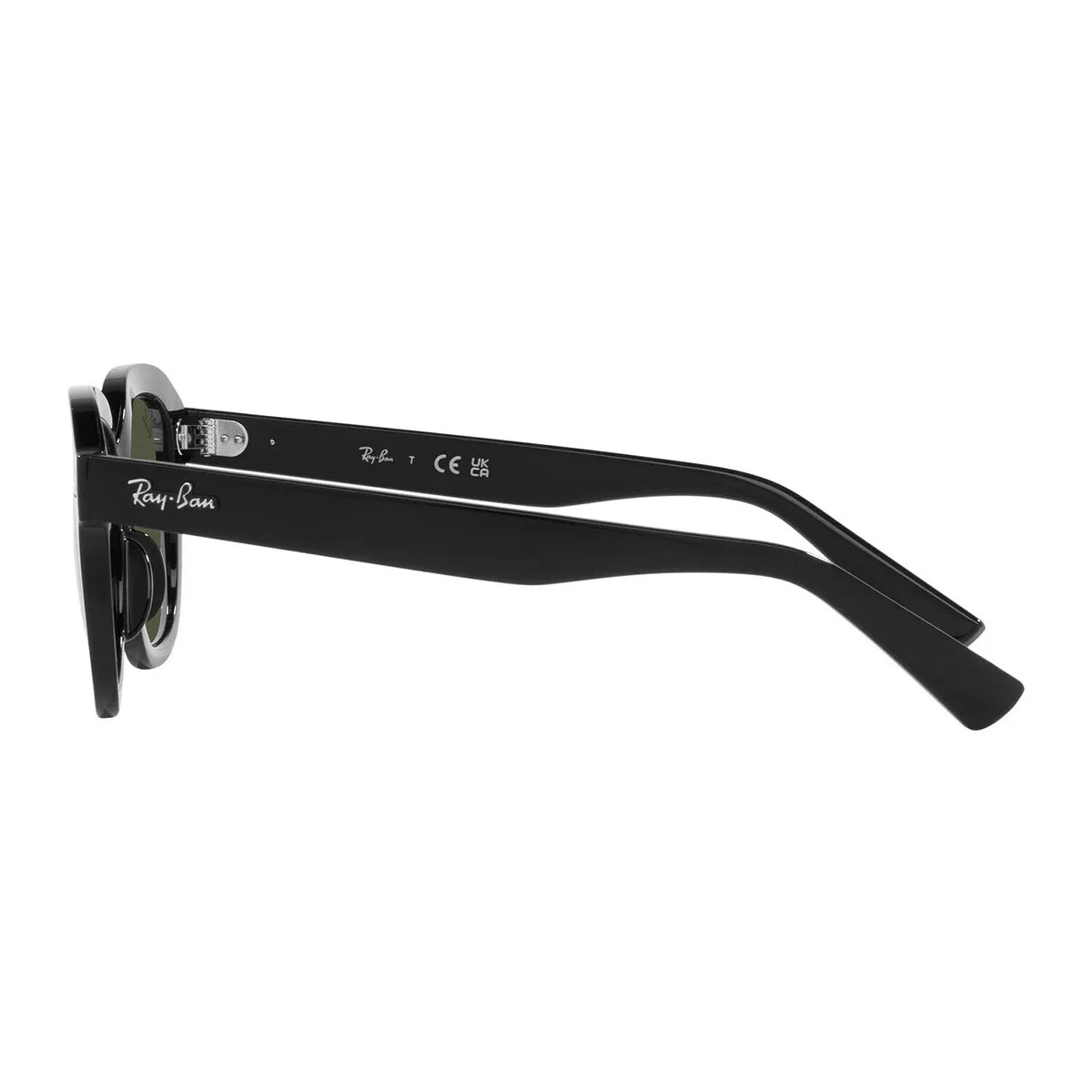 Occhiali da Sole  Erik RB4398 901/31
