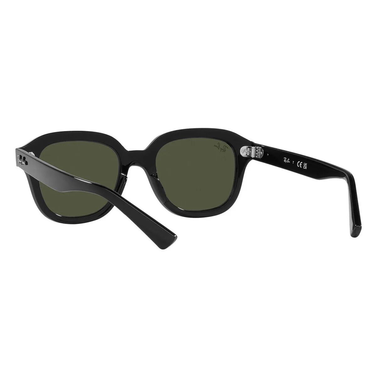 Occhiali da Sole  Erik RB4398 901/31